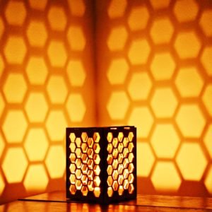 Bee Hive
